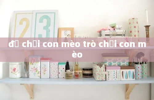 đồ chơi con mèo trò chơi con mèo