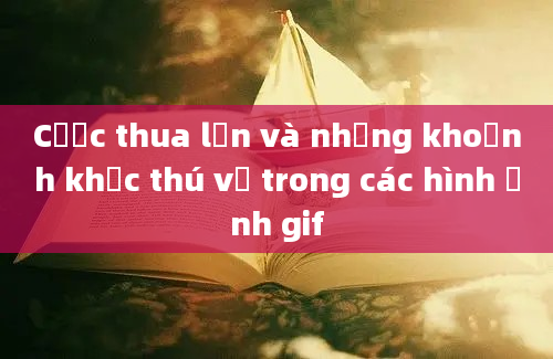 Cược thua lớn và những khoảnh khắc thú vị trong các hình ảnh gif