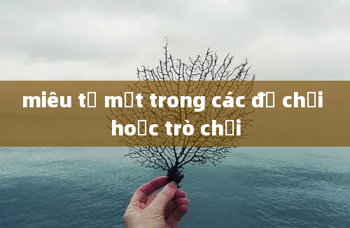 miêu tả một trong các đồ chơi hoặc trò chơi