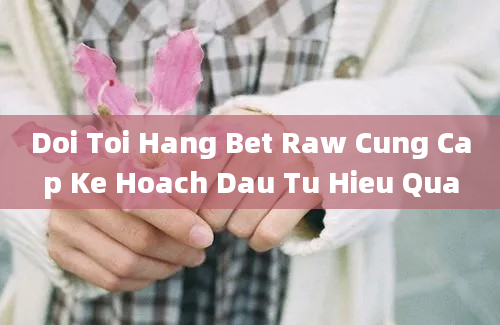 Doi Toi Hang Bet Raw Cung Cap Ke Hoach Dau Tu Hieu Qua