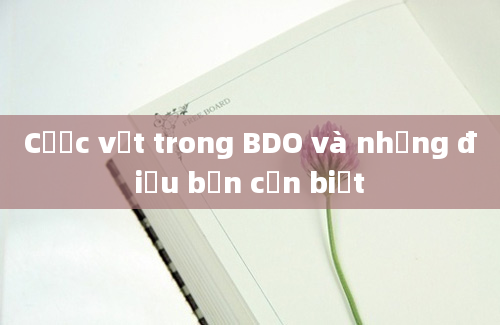 Cược vặt trong BDO và những điều bạn cần biết