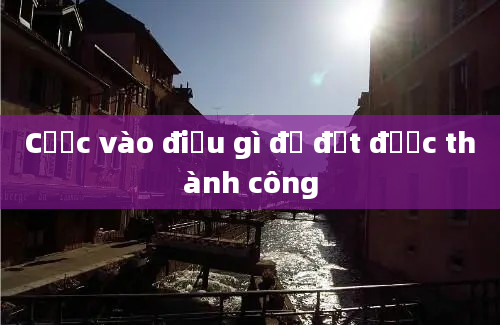 Cược vào điều gì để đạt được thành công