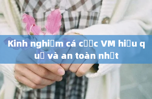 Kinh nghiệm cá cược VM hiệu quả và an toàn nhất