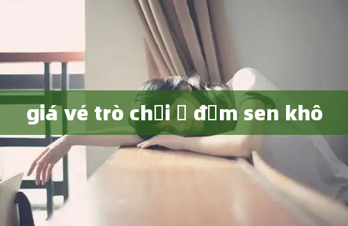 giá vé trò chơi ở đầm sen khô