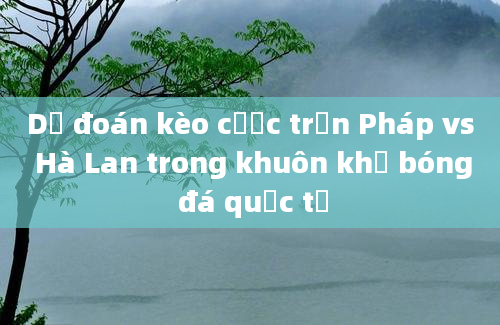 Dự đoán kèo cược trận Pháp vs Hà Lan trong khuôn khổ bóng đá quốc tế