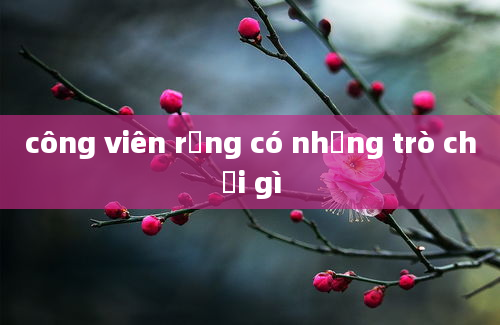 công viên rồng có những trò chơi gì