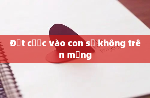 Đặt cược vào con số không trên mạng