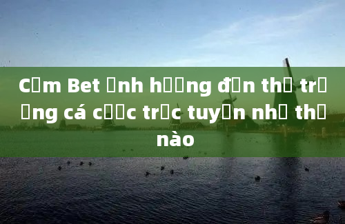 Cấm Bet ảnh hưởng đến thị trường cá cược trực tuyến như thế nào