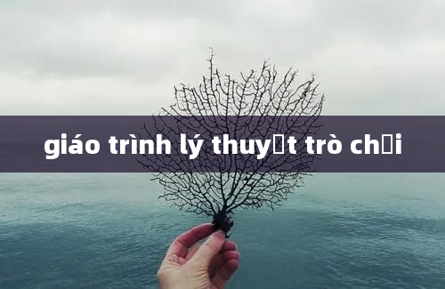 giáo trình lý thuyết trò chơi