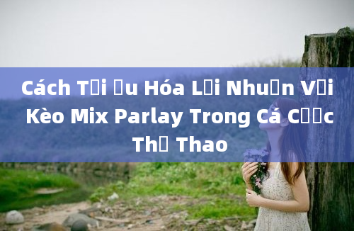 Cách Tối Ưu Hóa Lợi Nhuận Với Kèo Mix Parlay Trong Cá Cược Thể Thao