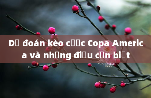 Dự đoán kèo cược Copa America và những điều cần biết