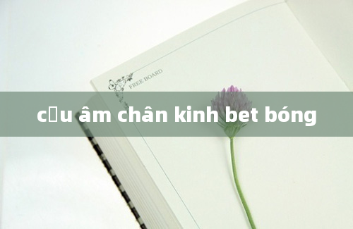 cửu âm chân kinh bet bóng