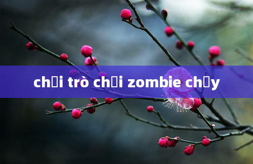 chơi trò chơi zombie chạy