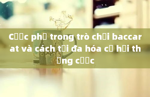 Cược phụ trong trò chơi baccarat và cách tối đa hóa cơ hội thắng cược