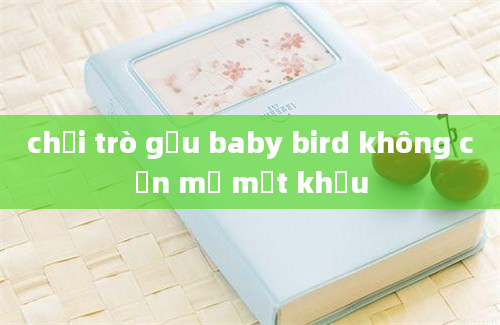 chơi trò gấu baby bird không cần mở mật khẩu