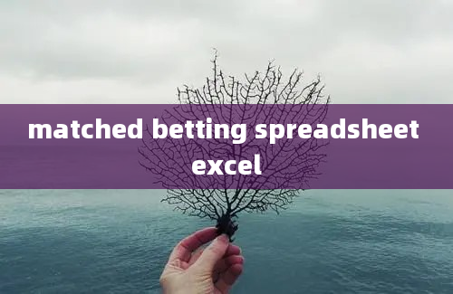 matched betting spreadsheet excel