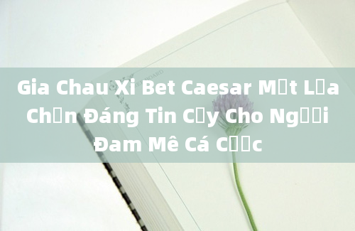 Gia Chau Xi Bet Caesar Một Lựa Chọn Đáng Tin Cậy Cho Người Đam Mê Cá Cược