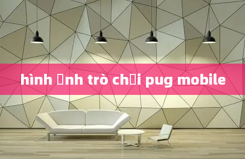 hình ảnh trò chơi pug mobile