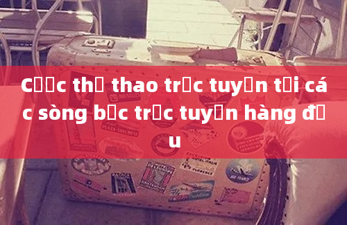 Cược thể thao trực tuyến tại các sòng bạc trực tuyến hàng đầu