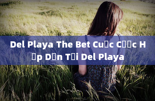 Del Playa The Bet Cuộc Cược Hấp Dẫn Tại Del Playa