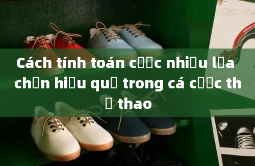 Cách tính toán cược nhiều lựa chọn hiệu quả trong cá cược thể thao