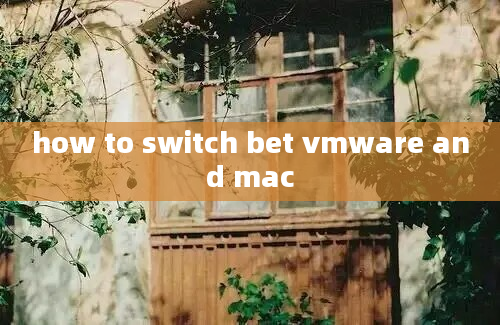 how to switch bet vmware and mac