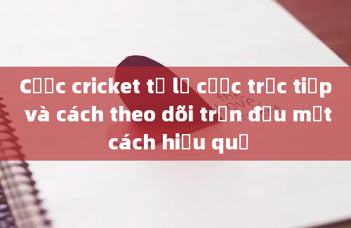 Cược cricket tỷ lệ cược trực tiếp và cách theo dõi trận đấu một cách hiệu quả