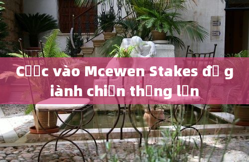 Cược vào Mcewen Stakes để giành chiến thắng lớn