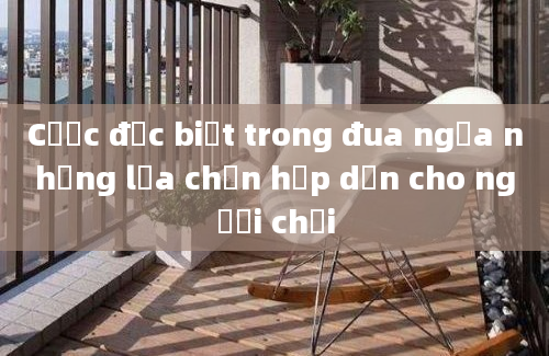 Cược đặc biệt trong đua ngựa những lựa chọn hấp dẫn cho người chơi