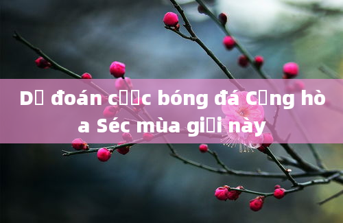 Dự đoán cược bóng đá Cộng hòa Séc mùa giải này