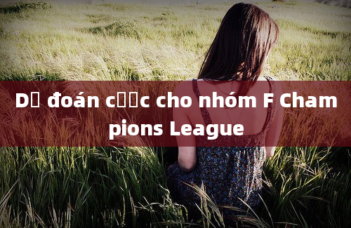 Dự đoán cược cho nhóm F Champions League