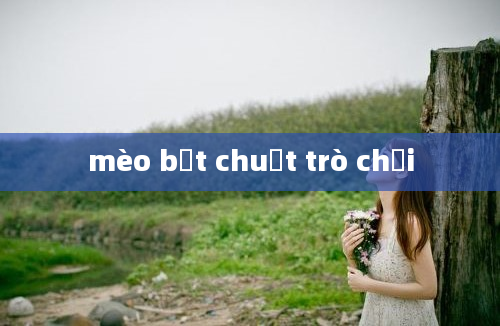 mèo bắt chuột trò chơi