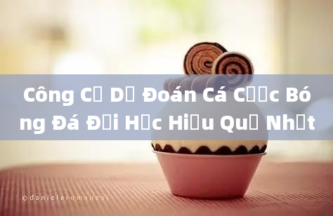 Công Cụ Dự Đoán Cá Cược Bóng Đá Đại Học Hiệu Quả Nhất