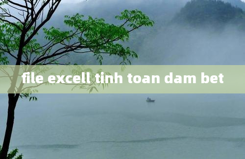 file excell tinh toan dam bet