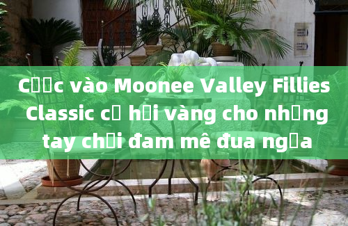 Cược vào Moonee Valley Fillies Classic cơ hội vàng cho những tay chơi đam mê đua ngựa