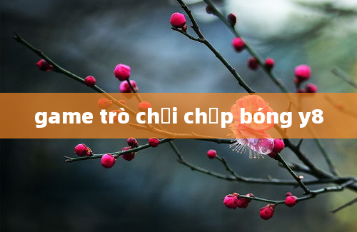 game trò chơi chụp bóng y8