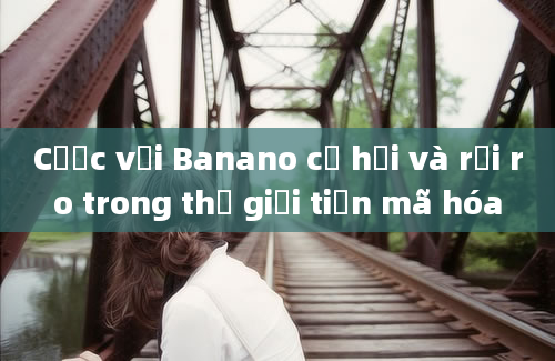 Cược với Banano cơ hội và rủi ro trong thế giới tiền mã hóa