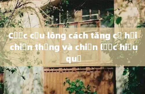 Cược cầu lông cách tăng cơ hội chiến thắng và chiến lược hiệu quả