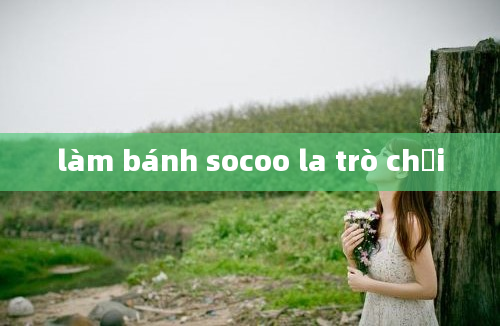 làm bánh socoo la trò chơi