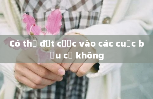 Có thể đặt cược vào các cuộc bầu cử không