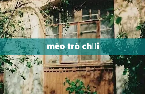 mèo trò chơi