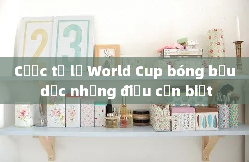 Cược tỷ lệ World Cup bóng bầu dục những điều cần biết