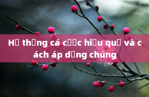 Hệ thống cá cược hiệu quả và cách áp dụng chúng