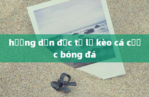 hướng dẫn đọc tỷ lệ kèo cá cược bóng đá