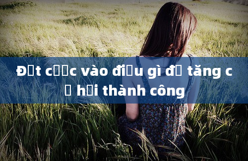 Đặt cược vào điều gì để tăng cơ hội thành công