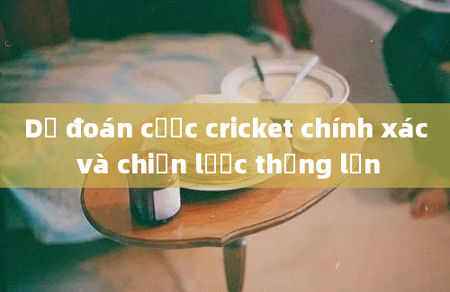 Dự đoán cược cricket chính xác và chiến lược thắng lớn