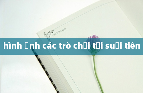 hình ảnh các trò chơi tại suối tiên