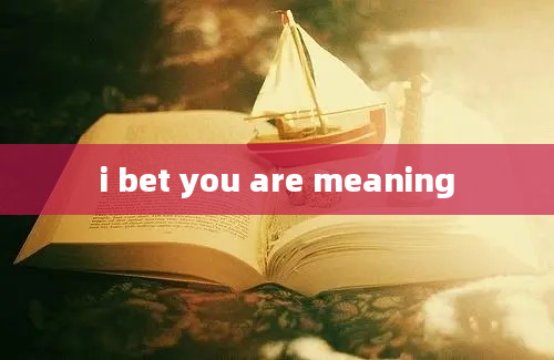 i bet you are meaning