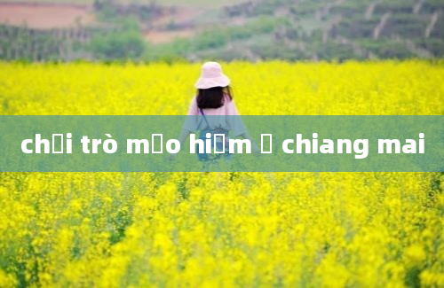 chơi trò mạo hiểm ở chiang mai