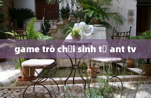 game trò chơi sinh tử ant tv